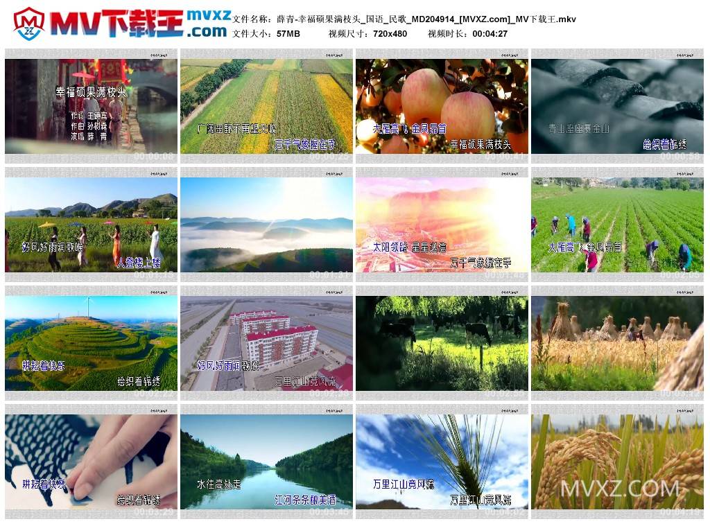 薛青-幸福硕果满枝头_国语_民歌_MD204914